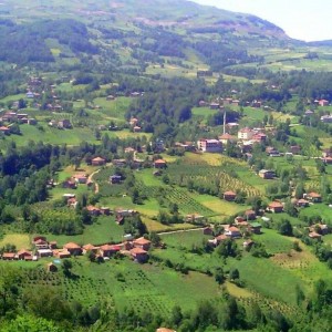 ordu_korgan_cayirkent_mahallesi_camilerimiz