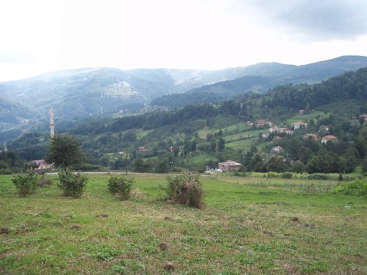 ericek mahallesi