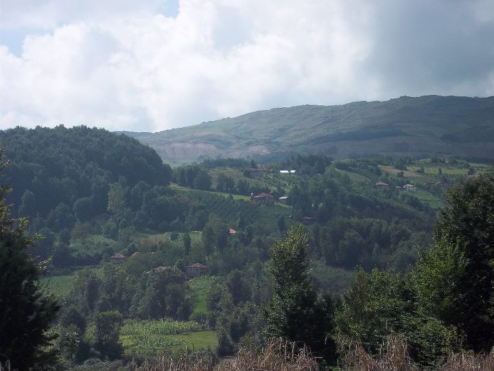 ericek mahallesi