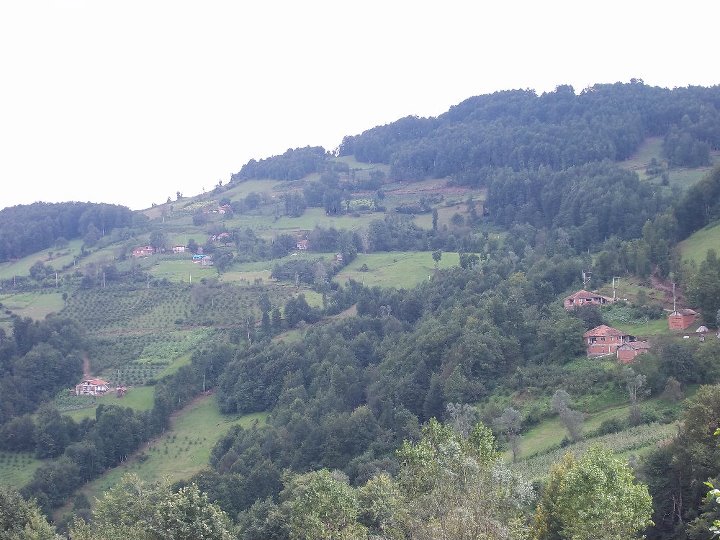 karşıyaka mahallesi