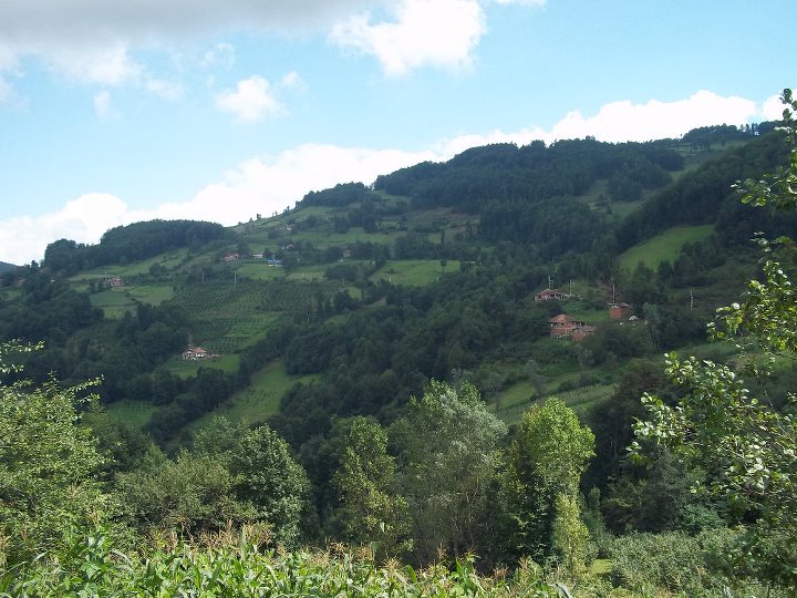 karşıyaka mahallesi