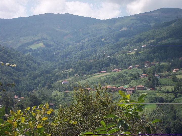 savcılı mahallesi