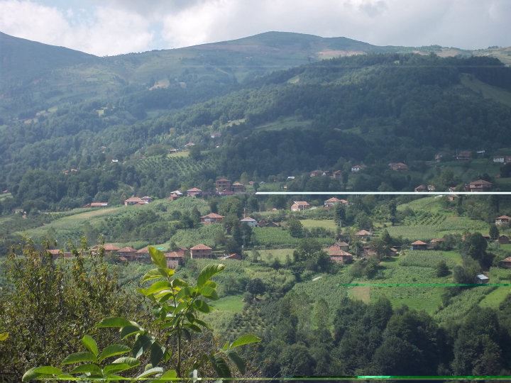 savcılı mahallesi