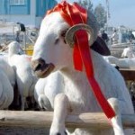 kurban duası